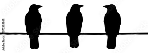 Three Crow Silhouettes Perched on a Wire Vector Illustration