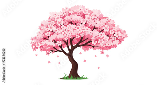 Beautiful Blooming Cherry Blossom Tree Illustration