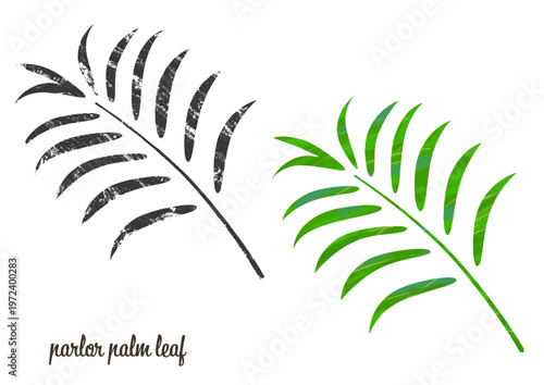 A set of icons featuring parlor palm leaves, with two different textures.