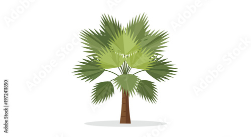 Flat Vector Illustration of a Tropical Fan Palm Tree