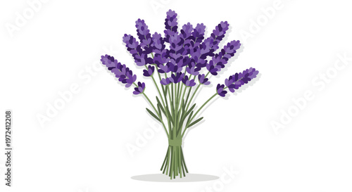 Beautiful Lavender Bouquet Illustration on White Background