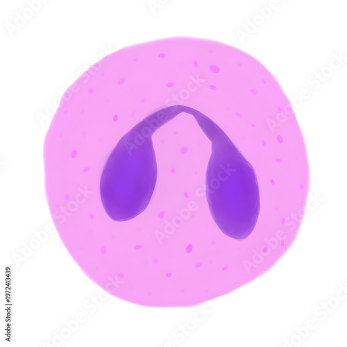 Eosinophil Cell Artistic Medical Illustration – Immune System White Blood Cell Digital Painting