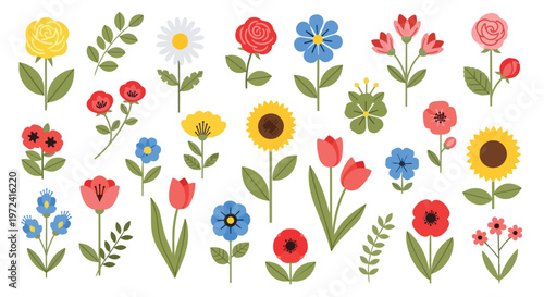 Set of Colorful Hand Drawn Spring and Summer Flowers Collection