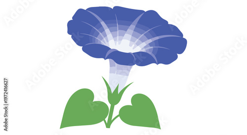 Illustration of a beautiful blue morning glory flower with green leaves