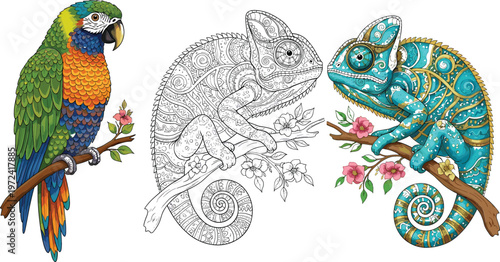 Colorful parrot and ornamental chameleon illustration set featuring vibrant tropical bird, detailed line art reptile, and decorative patterned wildlife vector design