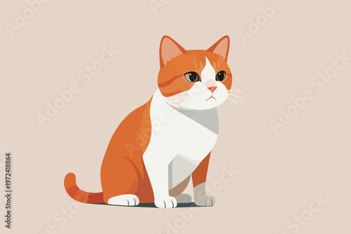 Cat sitting calmly on a flat surface looking forward during daylight hours in a simple setting