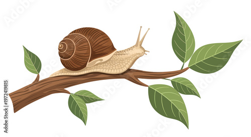 Snail Crawling on a Branch with Green Leaves