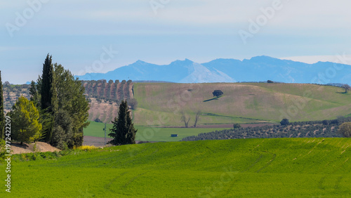 Canvas Print Scenic rural landscape with green fields and distant mountains