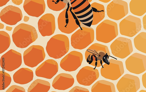 Bees working on honeycomb in a colorful hive during daytime