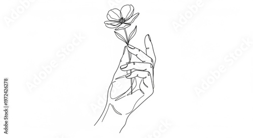 Kangaroo in mid jump motion.