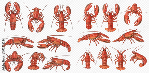 Set of fresh red lobsters and crayfish in various views, isolated on transparent background.