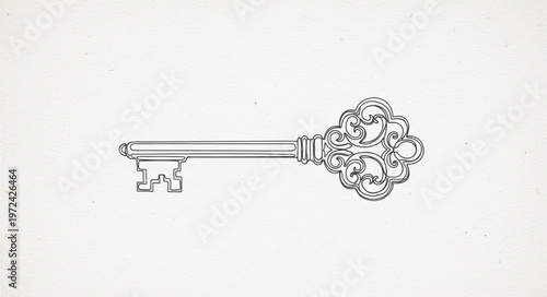 Large Antique Skeleton Key.