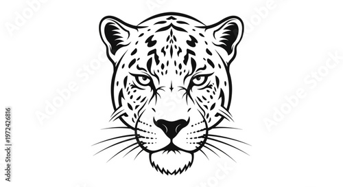 Leopard Face Close Up Drawing.