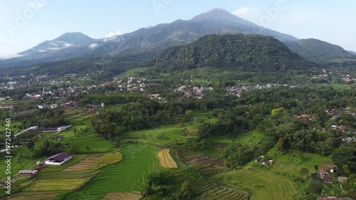 Aerial view of Mount Welirang with terraced rice fields, rural village settlement, and green valley landscape in East Java, Indonesia