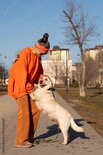Labrador Dog Standing On Hind Legs Greeting Owner In Park