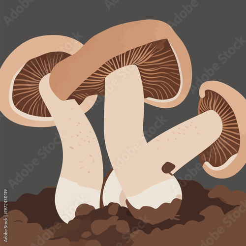 Mushrooms grow from soil in natural setting during daytime in simple design with brown and beige colors