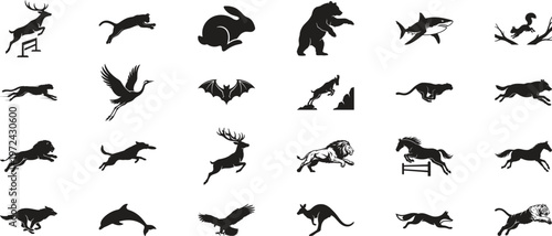 Wild animal silhouettes jumping and leaping, collection of 24 black vector icons of mammals, birds and sea life. Dynamic wildlife jumping silhouettes for sports logos and nature branding.
