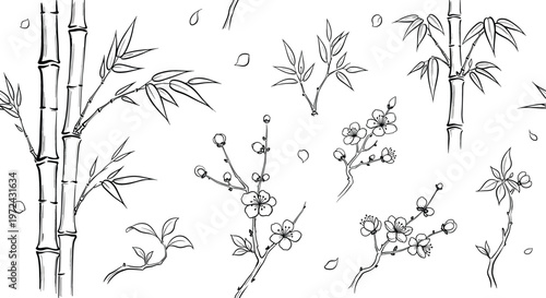 Hand drawn bamboo and cherry blossom botanical vector set featuring oriental branches, leaves and flowers in elegant asian ink line style