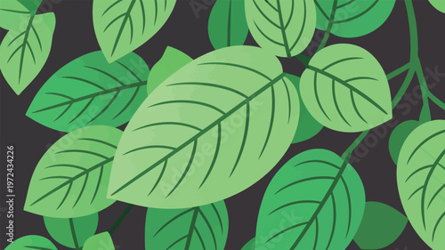 Green leaves background with various patterns and shapes during daylight hours in a natural setting