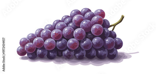 Bunch of purple grapes with leaves on black background