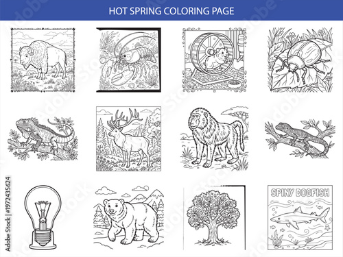 Set of twelve professional vector coloring pages featuring animals plants and everyday objects for creative educational projects