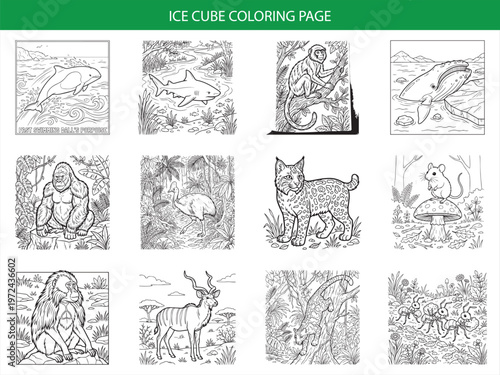 Twelve creative animal and wildlife vector coloring pages for children featuring dolphins sharks and exotic species in line art style