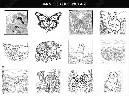 Collection of twelve vector coloring page illustrations featuring animals insects and dinosaurs for children creative development