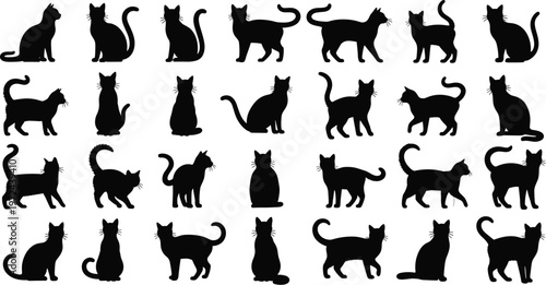 Cat silhouette collection featuring various sitting, walking, and standing domestic cat poses black animal vector illustration set