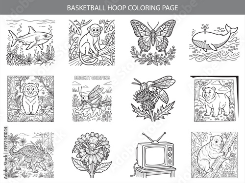 Basketball hoop themed coloring page collection featuring diverse animals insects and objects for imaginative coloring fun