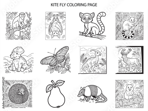Exotic animal coloring page collection featuring monkey bat lemur possum dinosaur butterfly and armadillo for kids learning