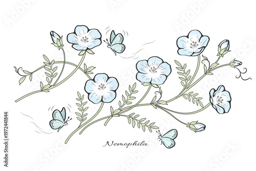 ネモフィラの香りに誘われて、ちょうちょが飛んできた。