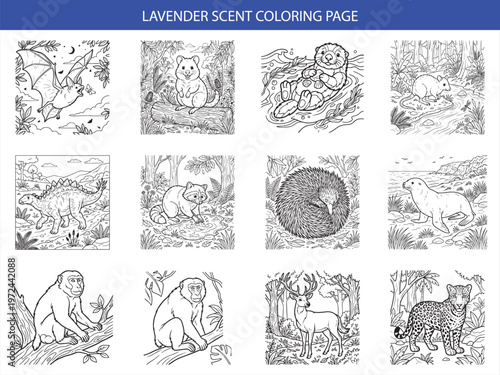 Lavender scent coloring page collection featuring bat quokka otter rat dinosaur raccoon echidna seal monkey deer leopard