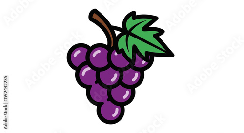 Cartoon grapes with leaf illustration isolated on white background