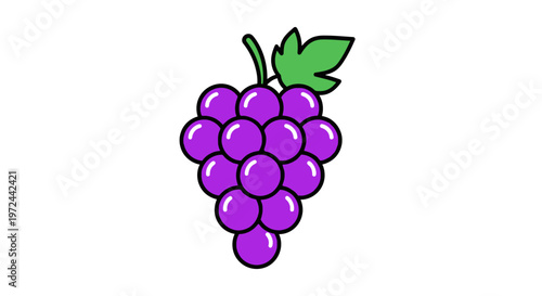Cartoon illustration of a cluster of purple grapes with green leaf