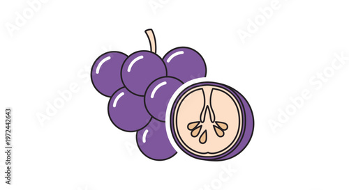 Fresh purple grapes with detailed cutaway illustration on white background