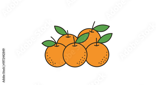 Fresh oranges with green leaves illustration on white background
