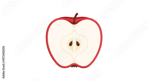 Half a red apple simple graphic of cut fruit on white background