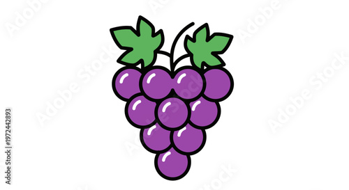 Cartoon cluster of purple grapes with green leaves on a white background