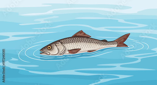 Fish in the Water: The depiction showcases a streamlined fish gracefully navigating through serene water, inviting a sense of tranquility and an appreciation for aquatic life.