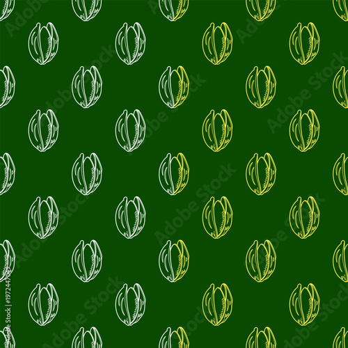 doodle pistachio pattern background for packaging. pistachio seed Seamless pattern Hand drawn sketch. Pistachio nuts pattern background. Vector doodle pistachio nuts seamless pattern background.