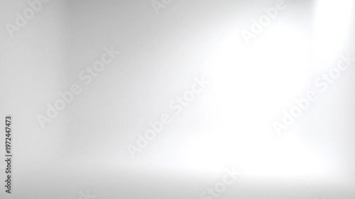 Close-up shot of a blurred white background with a subtle gradient effect and a shallow depth of field creating a soft, creamy texture.