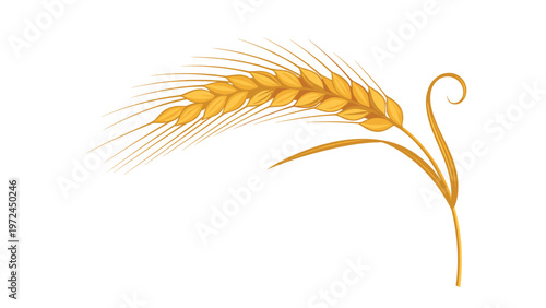 Single ear of wheat with a gracefully curved stem and long whiskers symbolizing growth and agriculture.