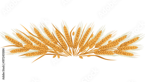 Golden stalks of ripe wheat are bundled together in a symmetrical arrangement symbolizing a rich harvest and farming.