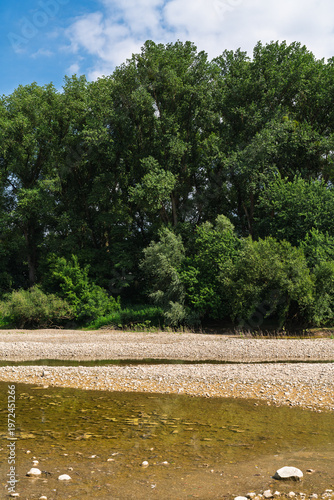 Forest on a stony riverbank at low water.