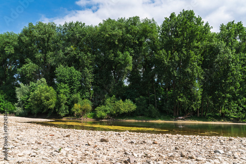 Forest on a stony riverbank at low water.