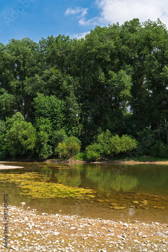 Forest on a stony riverbank at low water.