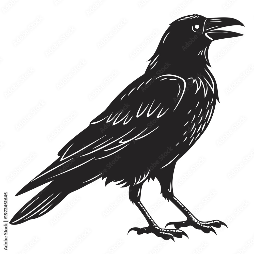 Obraz premium Crow Silhouette Vector Black Raven Bird Icon Isolated on White