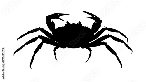 Crab Silhouette Vector Icon Marine Crustacean Isolated on White Background