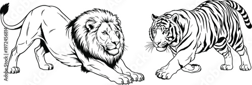 Photography Lion and Tiger Illustration in Black and White for Wildlife, Animal, and Predato