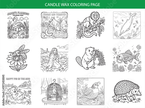 Candle wax coloring page featuring flamingo numbat monkey dolphin bee mermaid beaver fish pig bird and hedgehog illustrations
